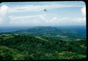 Saipan 1956 Collection, No. 95 Saipan